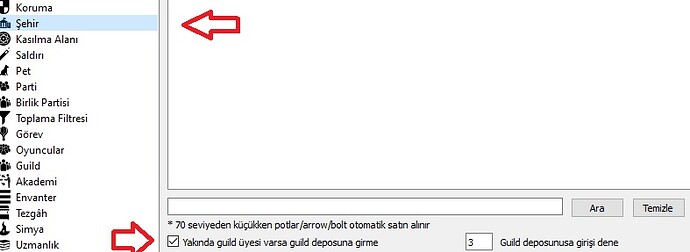 Guild bank problem - phBot - ProjectHax